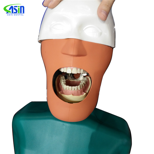 Dental Senior simulation model Dental Phantom Head Manikin With Torso Teaching Dental Equipments