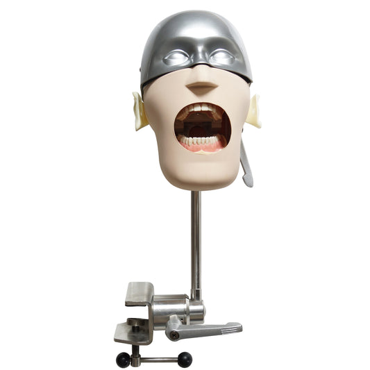 Dental Practice Model Dental Phantom Head For Training