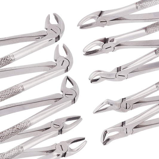 The Basis Of Surgical Instruments Dental Stainless Steel Instrument Extraction Tooth Forceps Set 10 PCS Set for Adult