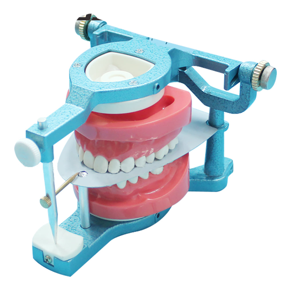 Dental Magnetic Denture Articulators Dental Lab Equipment Small Magnetic Denture Articulators