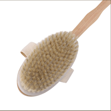 Scrub Brush with long handle